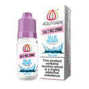 Nic Salt - Blueberry